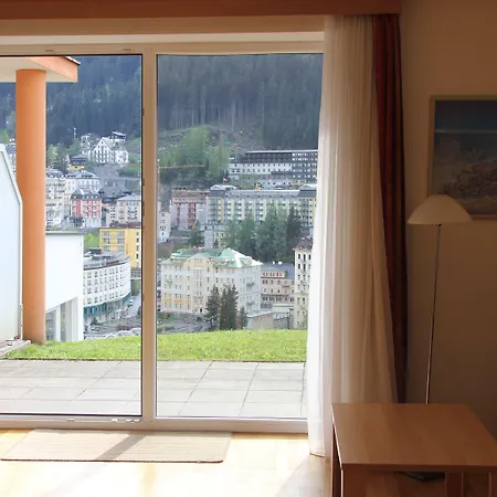 Schillerhof 3* 巴德加斯坦