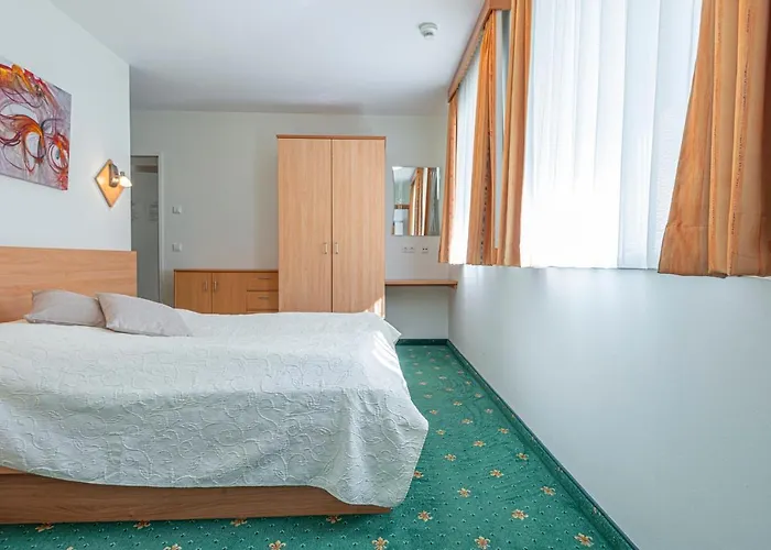 Schillerhof 3* 巴德加斯坦