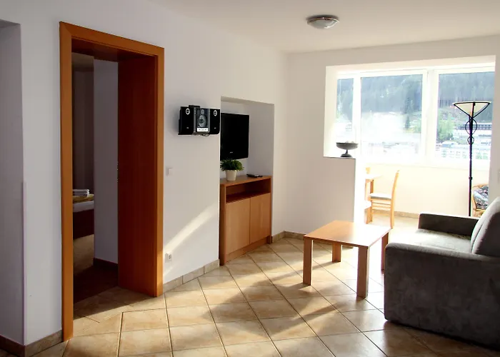 公寓式酒店 Schillerhof 3*